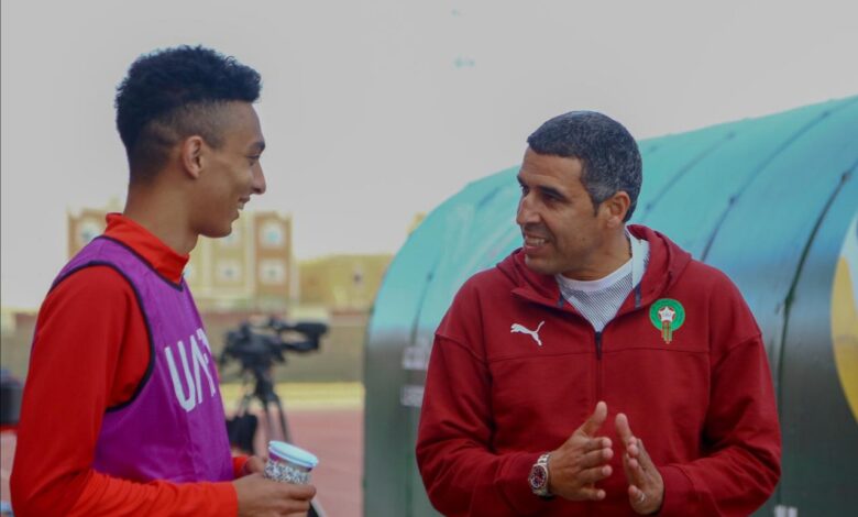 النيبت